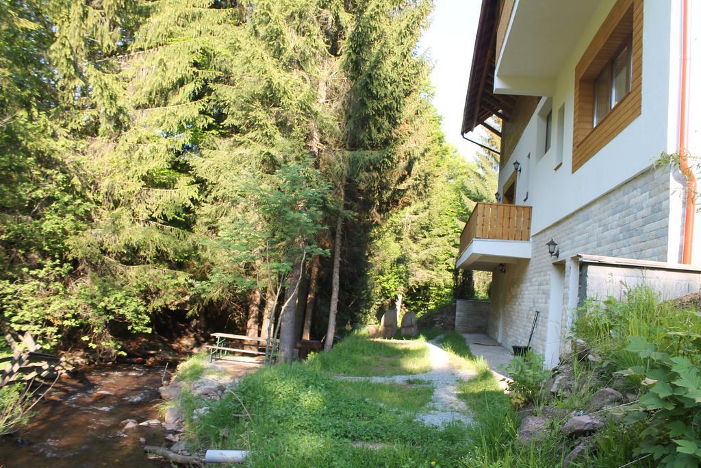 Arnica Montana Hotel Arieseni Exterior photo