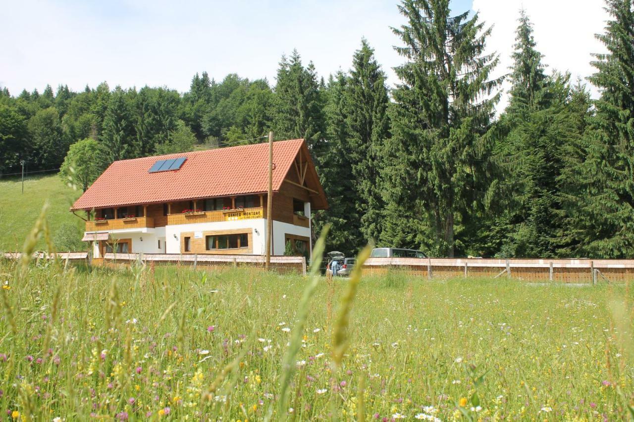 Arnica Montana Hotel Arieseni Exterior photo