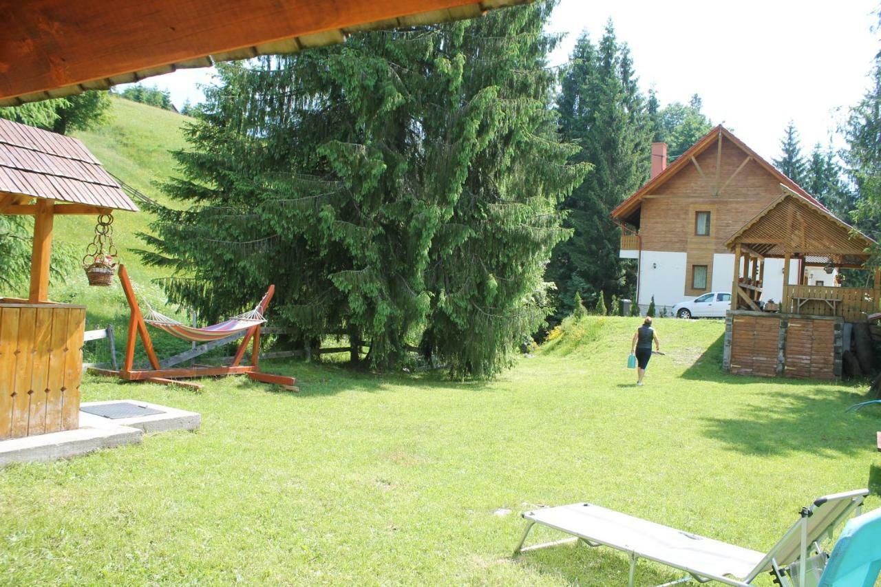 Arnica Montana Hotel Arieseni Exterior photo