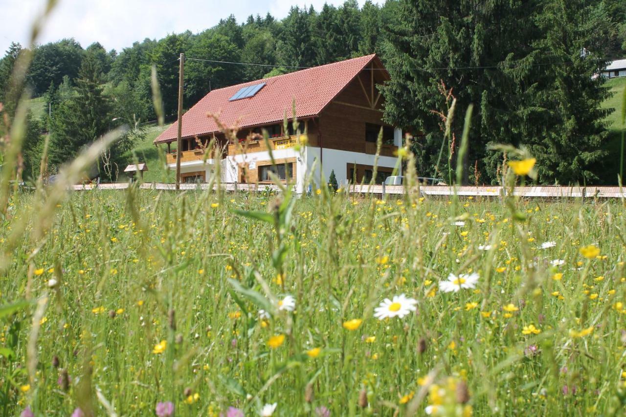 Arnica Montana Hotel Arieseni Exterior photo