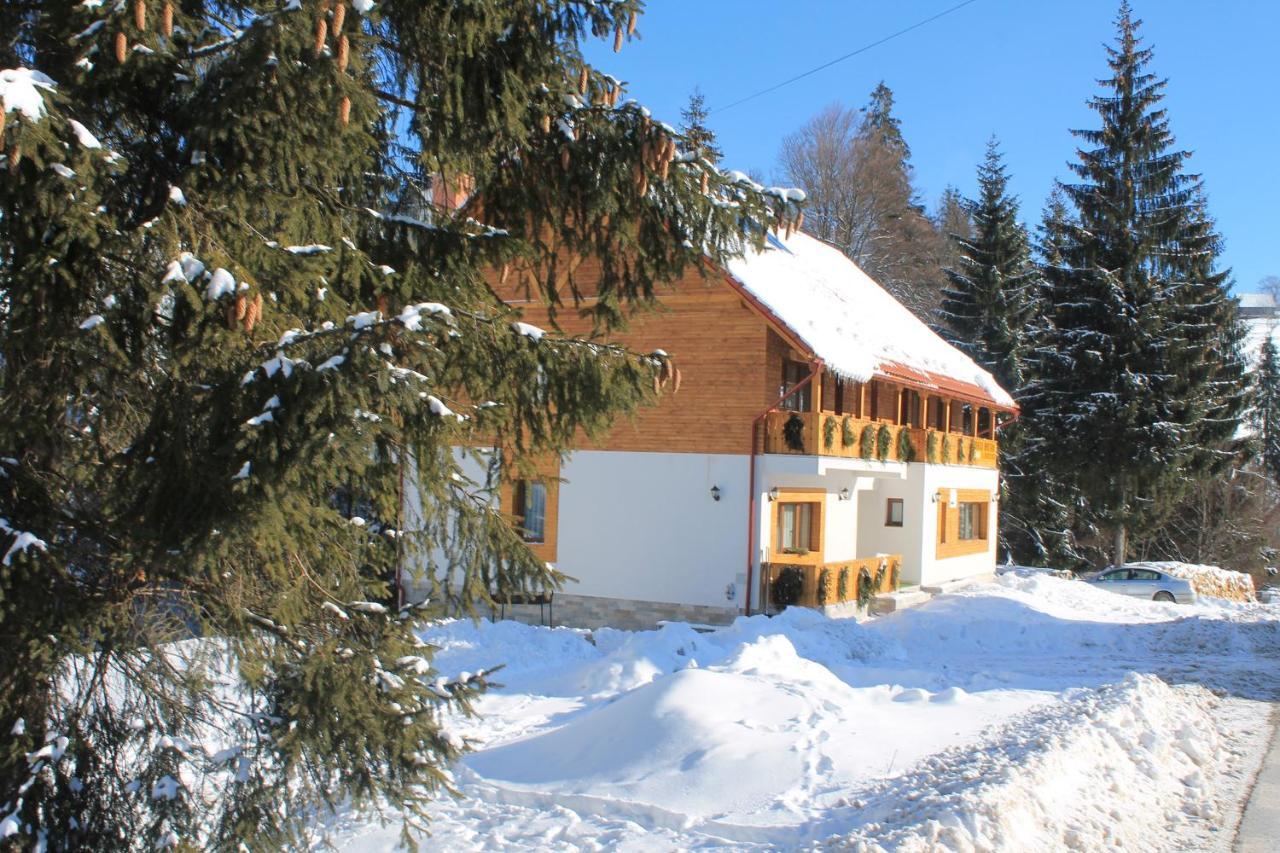 Arnica Montana Hotel Arieseni Exterior photo