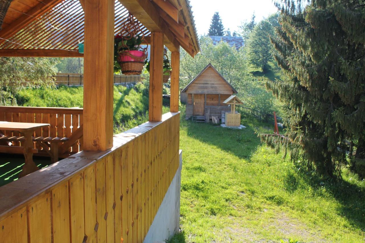 Arnica Montana Hotel Arieseni Exterior photo